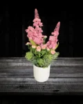 White vase with pink flowers – elegant floral flower pot