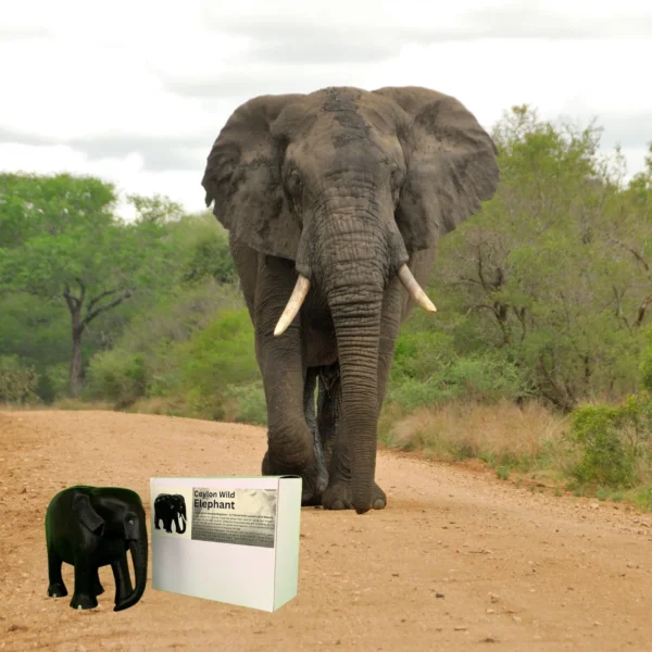 Eco-friendly boxboard box for wooden elephant