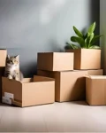 corrugated box