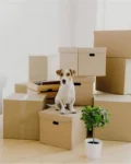 corrugated box