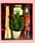 It Takes a Heart Gift Box with candle, Poppy mist, artificial plant, and gold vase – ideal gift for reconnecting with a friend
