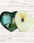 Best Dad Ever Gift Box with candle, mug, and faux plant in heart-shaped box