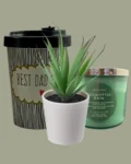 Best Dad Ever Gift Box with candle, mug, and faux plant in heart-shaped box