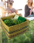 Eucalyptus Rain Eco Wellness Gift Basket with Candle, Spray, Apron, and Faux Plant