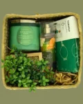 Eucalyptus Rain Eco Wellness Gift Basket with Candle, Spray, Apron, and Faux Plant