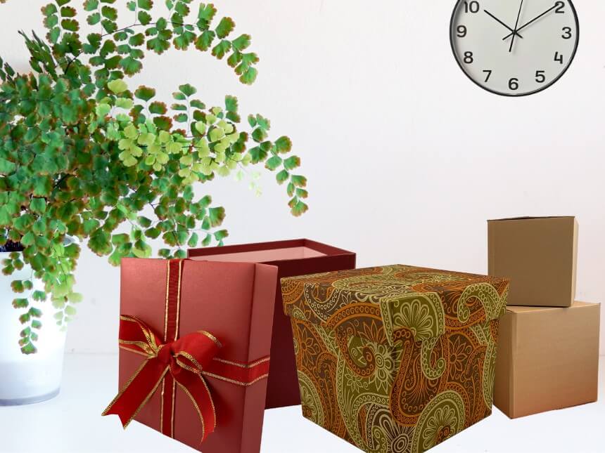 Gift Boxes Gift Boxes