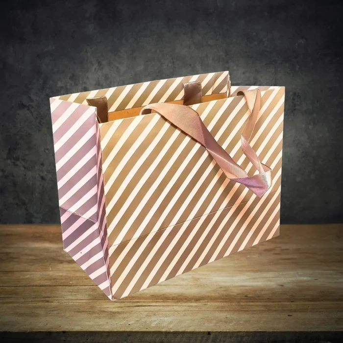 Silver and White Zebra Bag with Ribbon Handles - Image 1