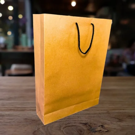 Eco-Friendly Large Craft Gift Bag
