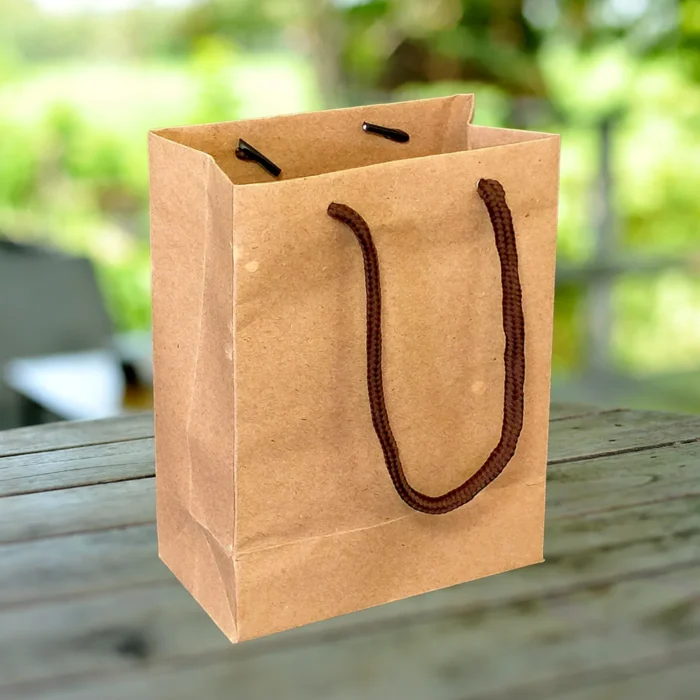 Eco-Friendly Craft Gift Bag with Black Handles - Image 1