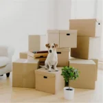 Rectangle 5 ply Large corrugated box - Image 3