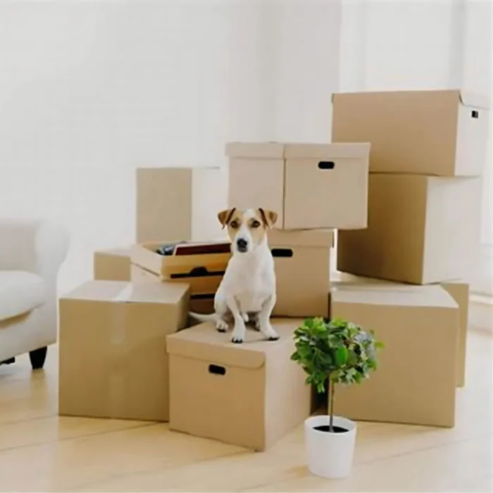Rectangle 5 ply Large corrugated box - Image 3