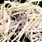 White shredded paper filler - Image 5
