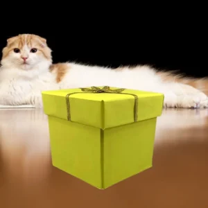 Yellow Gift Box