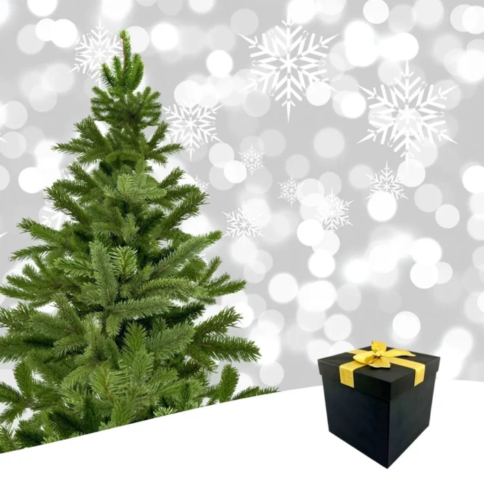 Luxury Black Gift Box with Gold Ribbon - Image 3