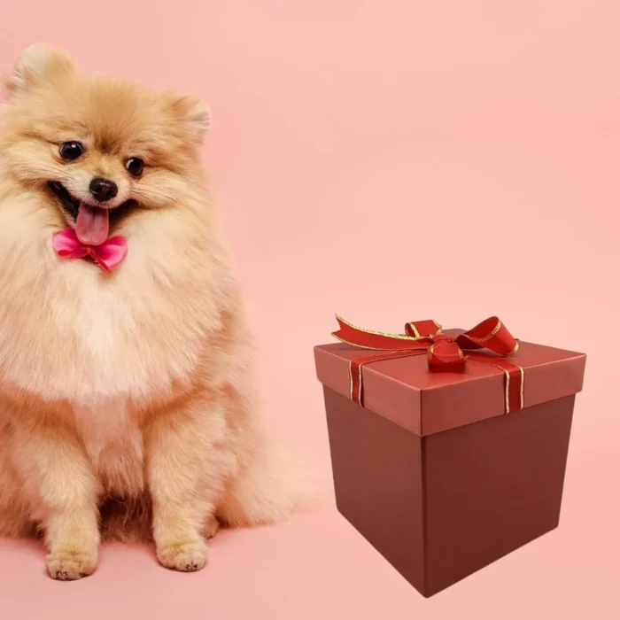 Shiny Red Gift Box with Elegant Gold-Lined Ribbon - Image 2