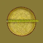 Large Yellow Palmyra Tray - 11x2 inch - Image 4