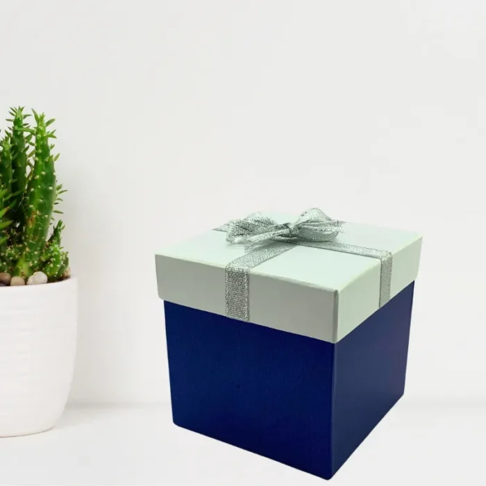 Blue and White Gift Box With Silver Ribbon - Gives Elegant Touch - 4x4x4 inch - Image 3