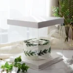 Transparent Bento Cake Box with White Lid & Base