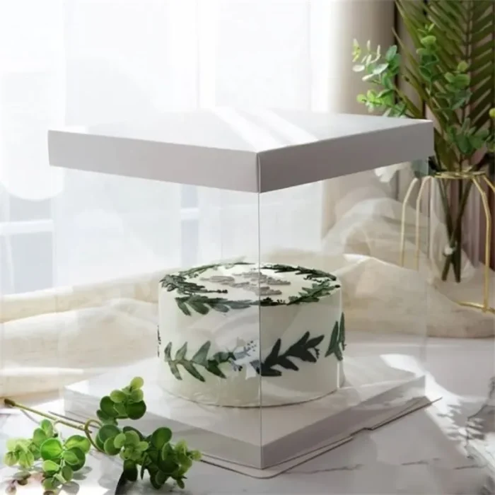 Transparent Bento Cake Box with White Lid & Base