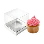 Transparent Single Cupcake Box
