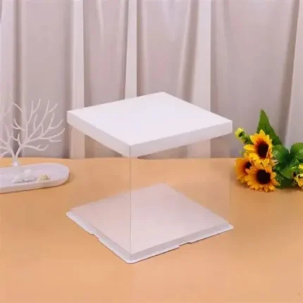 Transparent Bento Cake Box with White Lid & Base